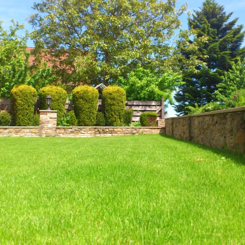 Landscaping